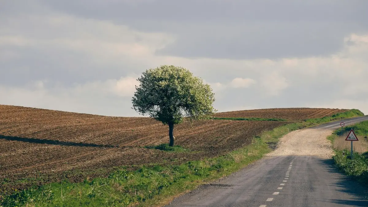 Le risorse, oltre 15 milioni di euro, erano state stanziate dalla giunta regionale e provenivano dai fondi montagna 2023 e 2024. Tra gli interventi anche la realizzazione di invasi e aree di atterraggio per elisoccorso