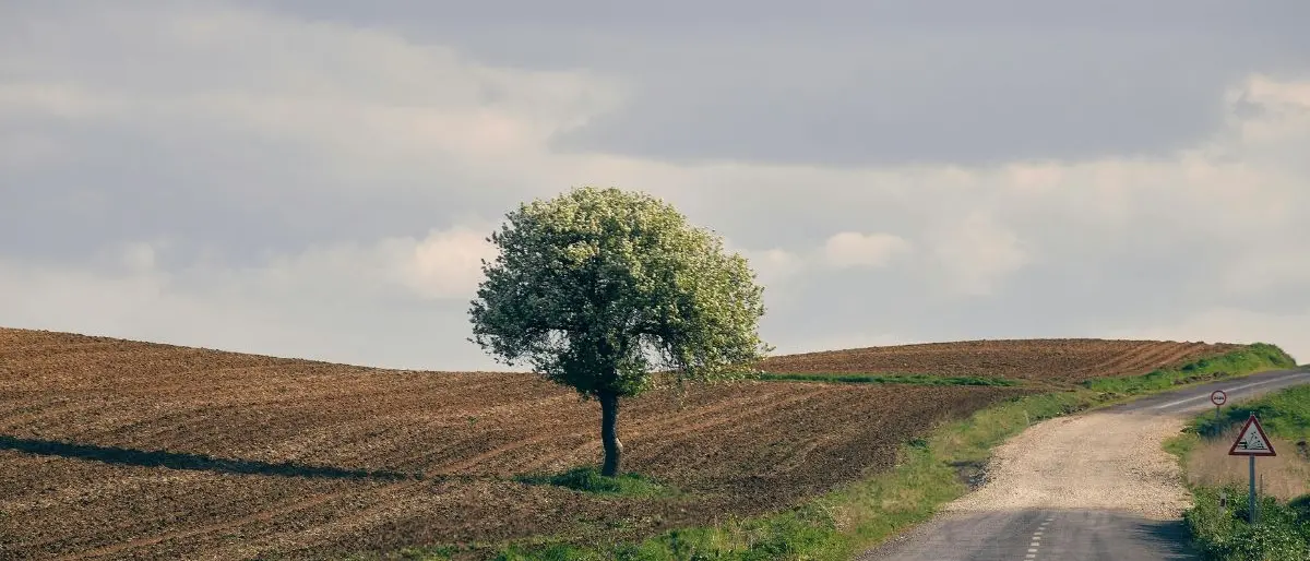 Aree interne, Mancuso (Pd): «Siamo l’unico partito che ha tracciato un percorso di impegno in tempi non sospetti»\n