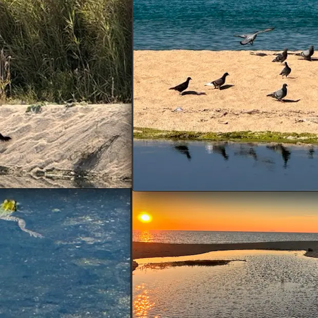 Nicotera, la Pro Loco annuncia la conclusione del\u00A0biorisanamento del torrente San Giovanni: «Un successo»\n