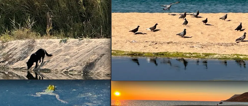 Nicotera, la Pro Loco annuncia la conclusione del\u00A0biorisanamento del torrente San Giovanni: «Un successo»\n