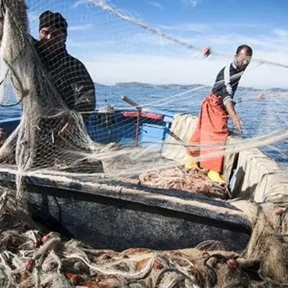 Regione Calabria, nuovo bando da oltre 2,7 milioni per la filiera della pesca e acquacoltura
