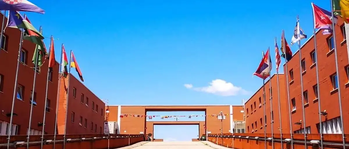 Unical, domande d’iscrizione oltre le previsioni: ampliati i posti per 10 corsi di laurea magistrali