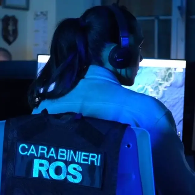 ‘Ndrangheta, blitz contro i Piromalli con 26 arresti: le mani del clan sugli appalti. In manette il boss 80enne\u00A0della cosca\n