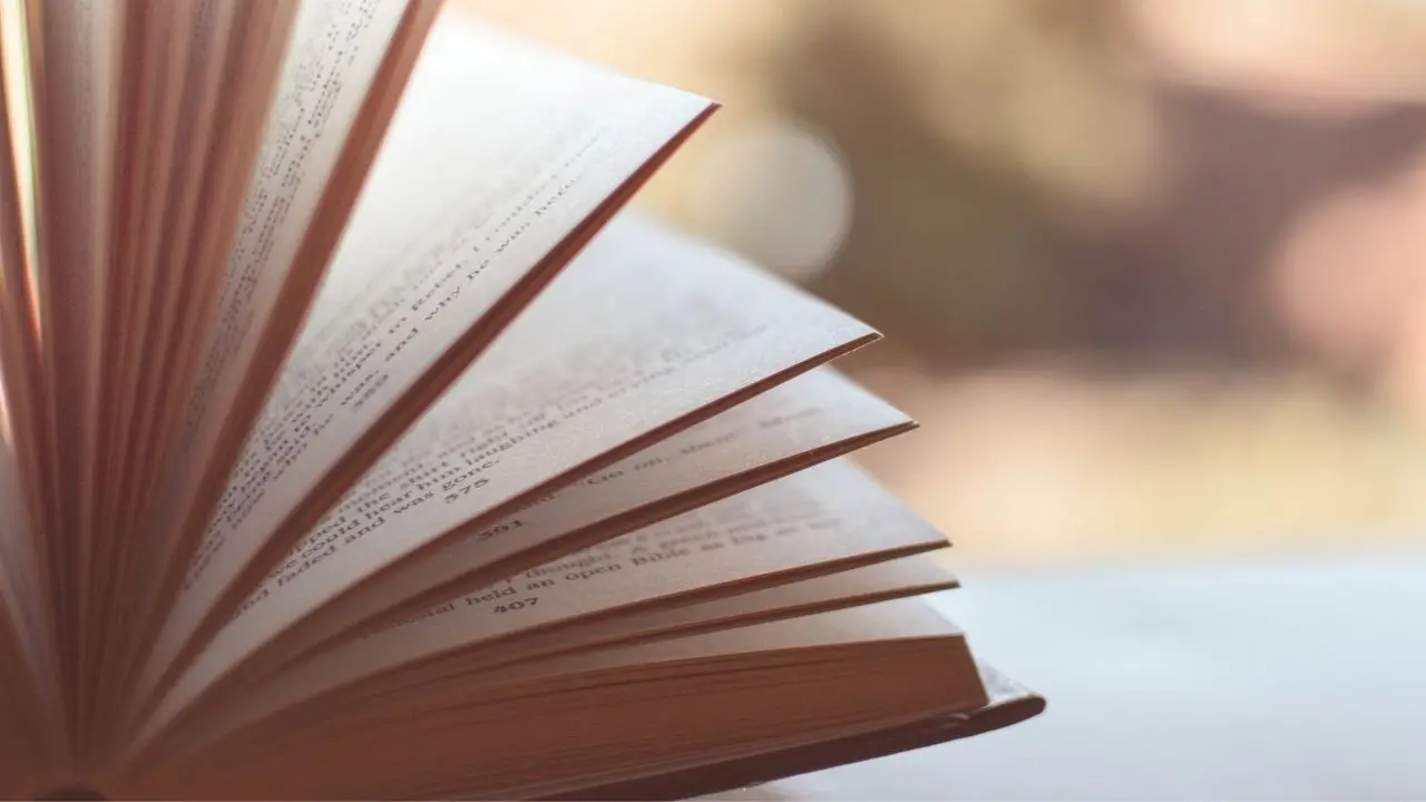 A Vibo Valentia “Cenere e mandorli”, la poesia di Michele Petullà per Gaza