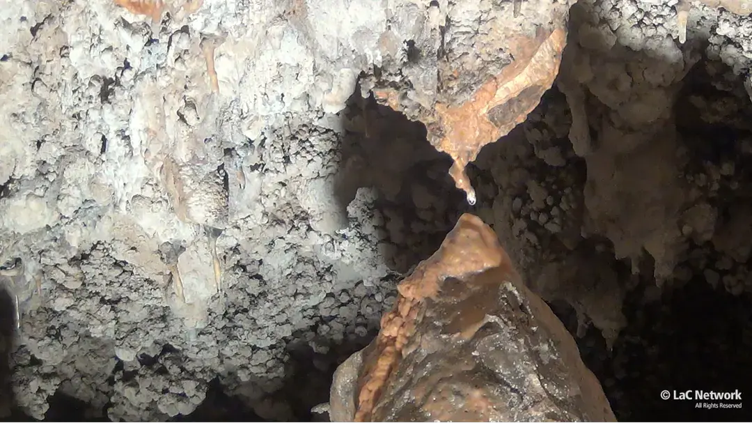 Grotte di Sant’Angelo, i dati confermano il successo: sono oltre 4.000 i visitatori tra luglio e metà settembre\n