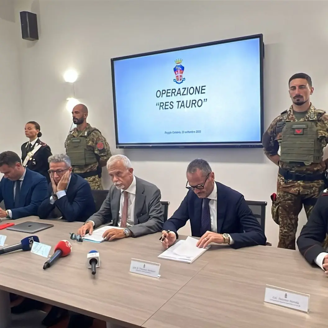 Blitz contro i Piromalli, l’accusa: tornato in libertà “Facciazza” truccava le aste per riprendersi i beni confiscati - NOMI\n