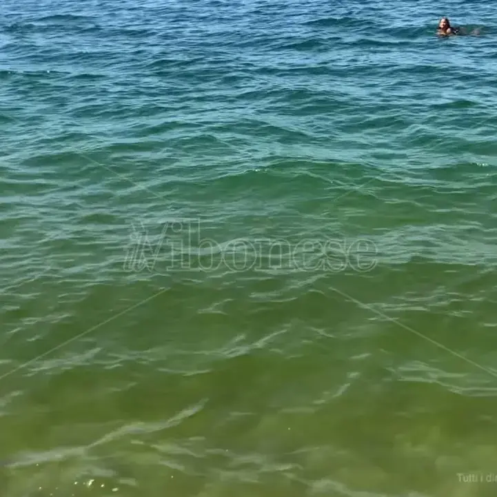 «Il mare verde non è solo un problema turistico ma il sintomo di un ecosistema malato: la politica in corsa per le Regionali assuma impegni»\n