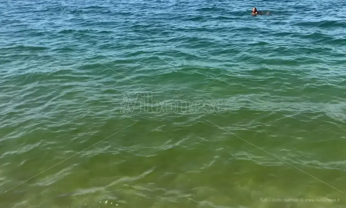 «Il mare verde non è solo un problema turistico ma il sintomo di un ecosistema malato: la politica in corsa per le Regionali assuma impegni»\n