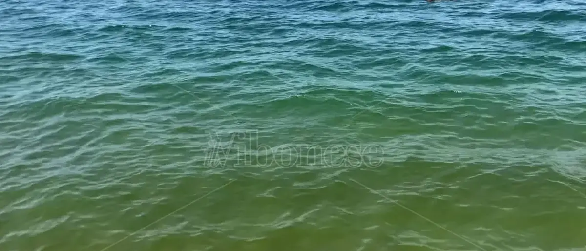 «Il mare verde non è solo un problema turistico ma il sintomo di un ecosistema malato: la politica in corsa per le Regionali assuma impegni»\n