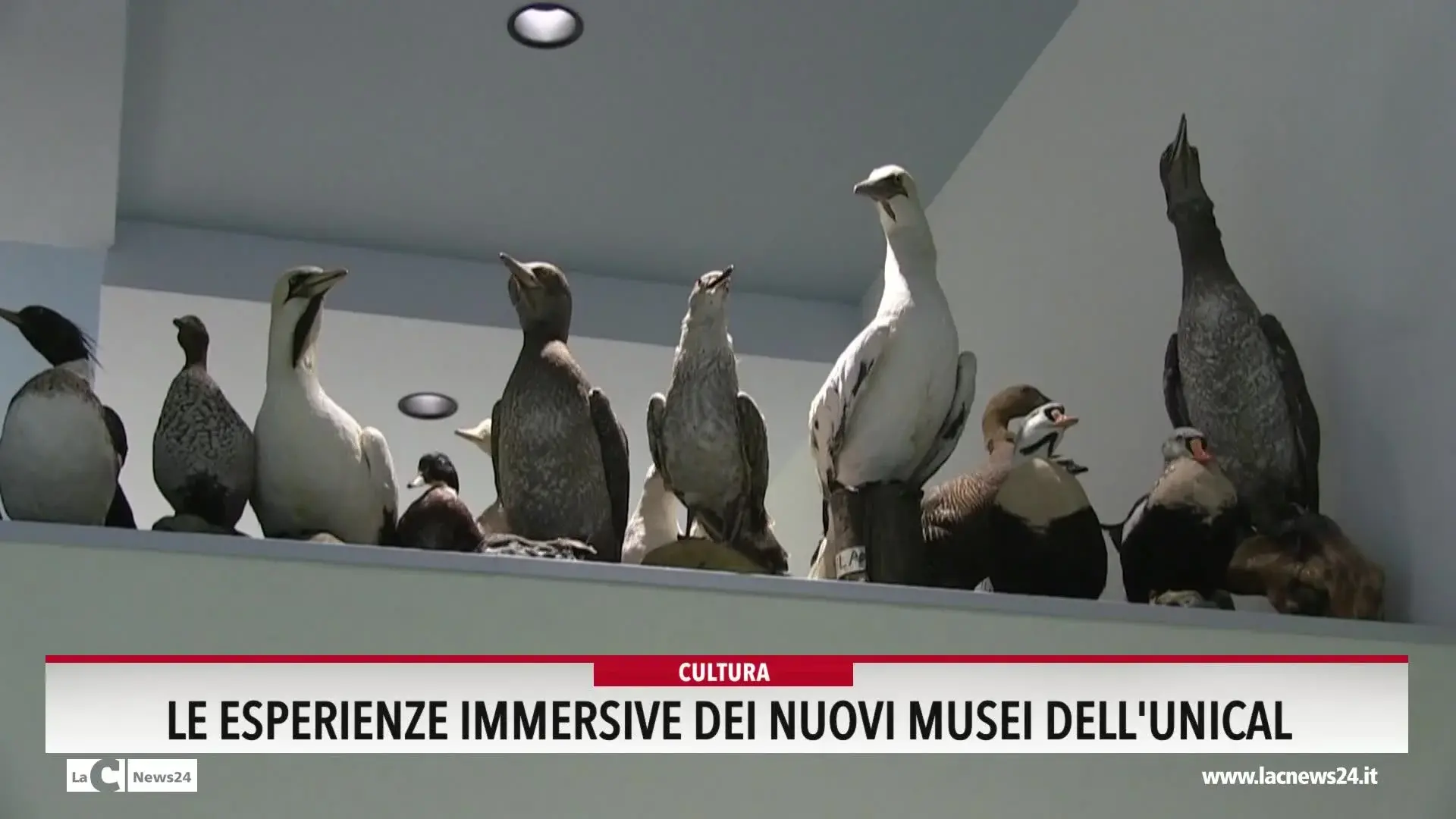 Le esperienze immersive dei nuovi musei dell'Unical