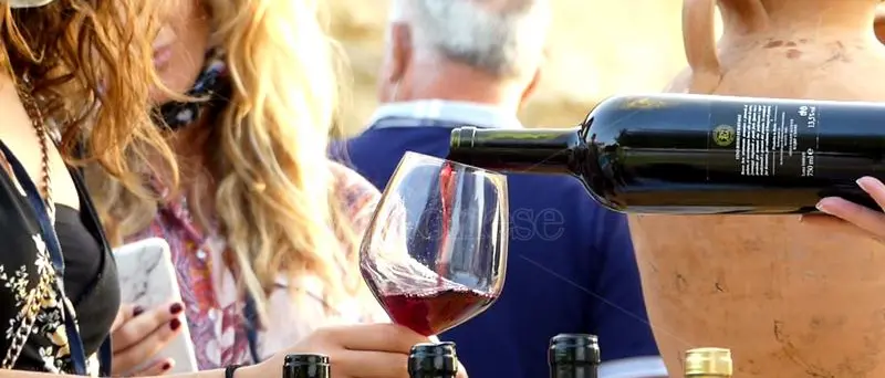 Tre Bicchieri Gambero Rosso 2026,\u00A0la Calabria brinda alle sue cantine: ecco le aziende\u00A0premiate\n