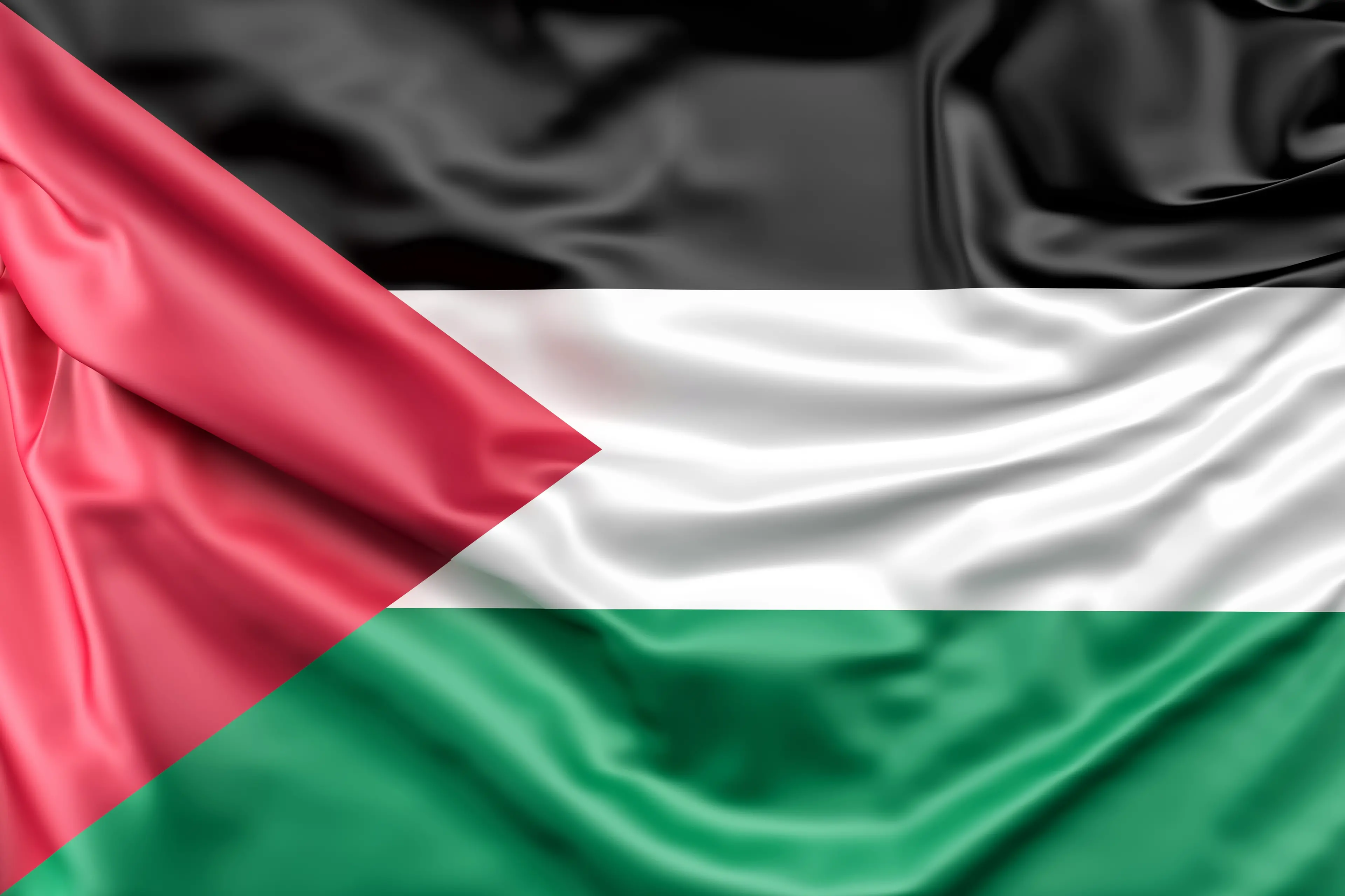 Longobardi primo comune a portare in aula la mozione per il riconoscimento dello Stato Palestinese