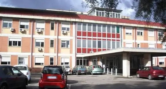 Pulci all'ospedale di Gioia Tauro: sospesi ricoveri nel reparto di Medicina. Il sindaco: «Chiusura non legata a carenze igieniche»\n