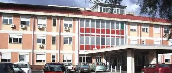Pulci all'ospedale di Gioia Tauro: sospesi ricoveri nel reparto di Medicina. Il sindaco: «Chiusura non legata a carenze igieniche»\n