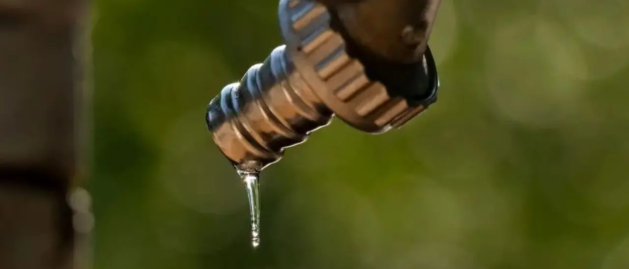 Siccità in Calabria, per l’Autorità di bacino il Vibonese se la passa meglio di Crotone e Reggio\n