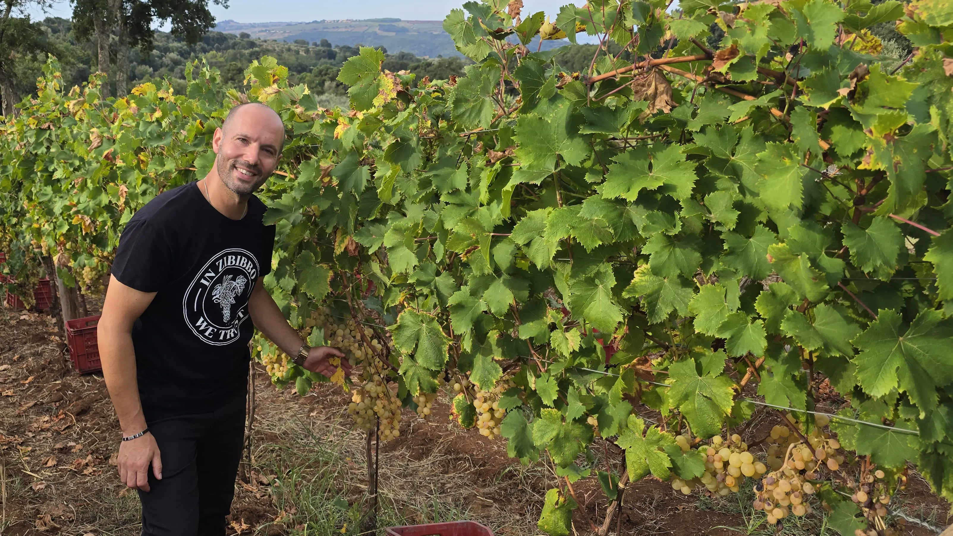 <p>Giovanni Benvenuto</p>\\n