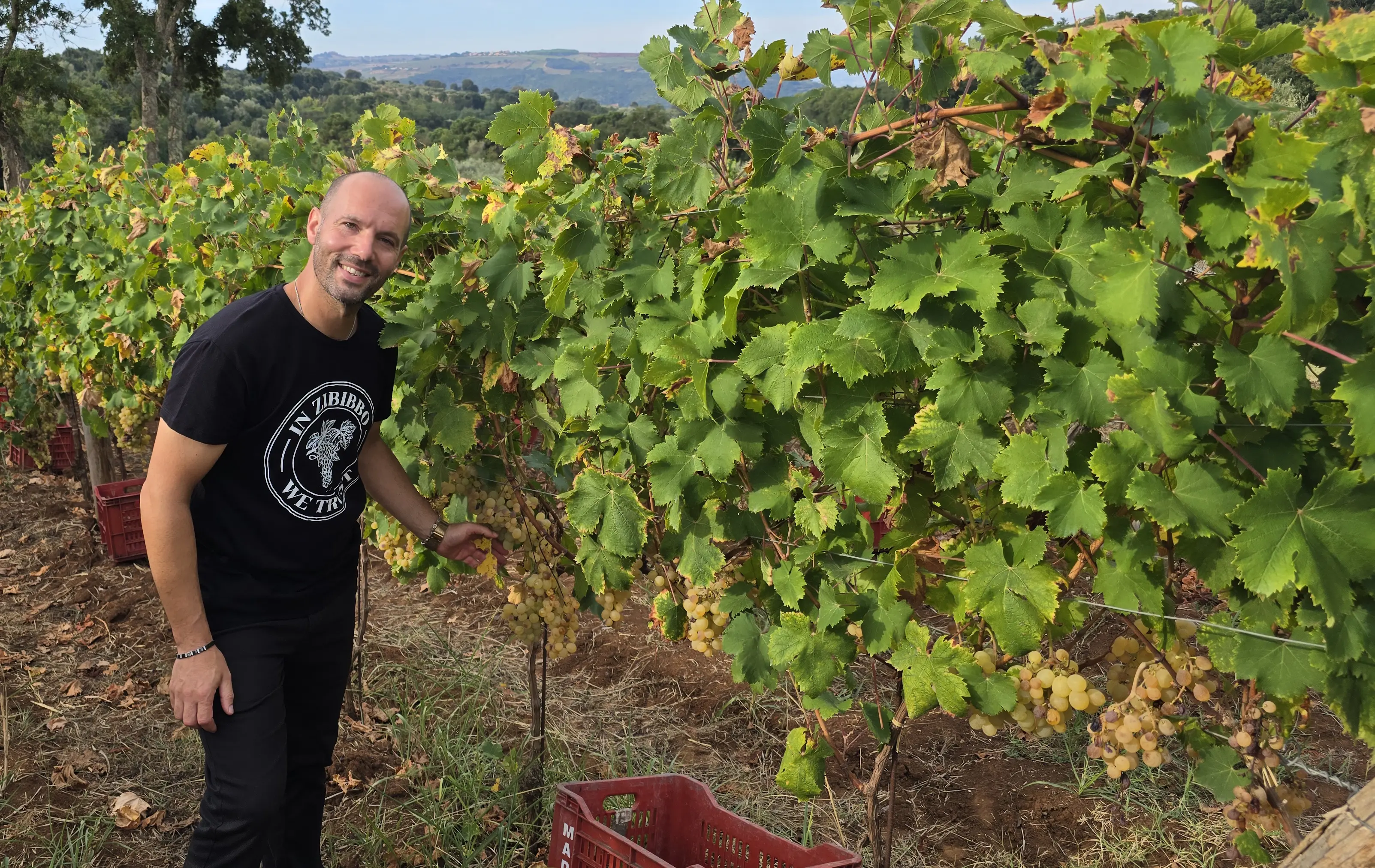 Vendemmia dello Zibibbo con Giovanni Benvenuto: un vitigno di grande tradizione che regala sensazioni uniche e distintive\n