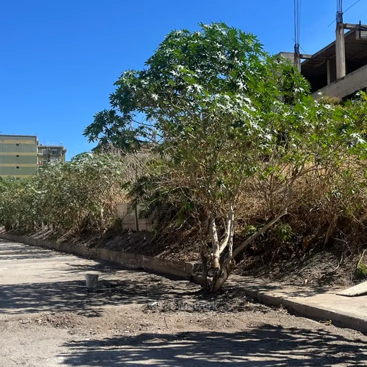 Ripulita la discarica a cielo aperto nel rione Marconi di Reggio, i cittadini: «Ora serve vigilare»\n