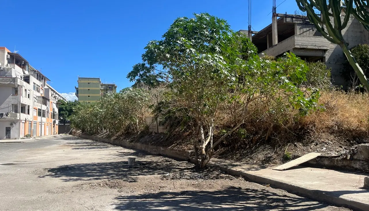 Ripulita la discarica a cielo aperto nel rione Marconi di Reggio, i cittadini: «Ora serve vigilare»\n