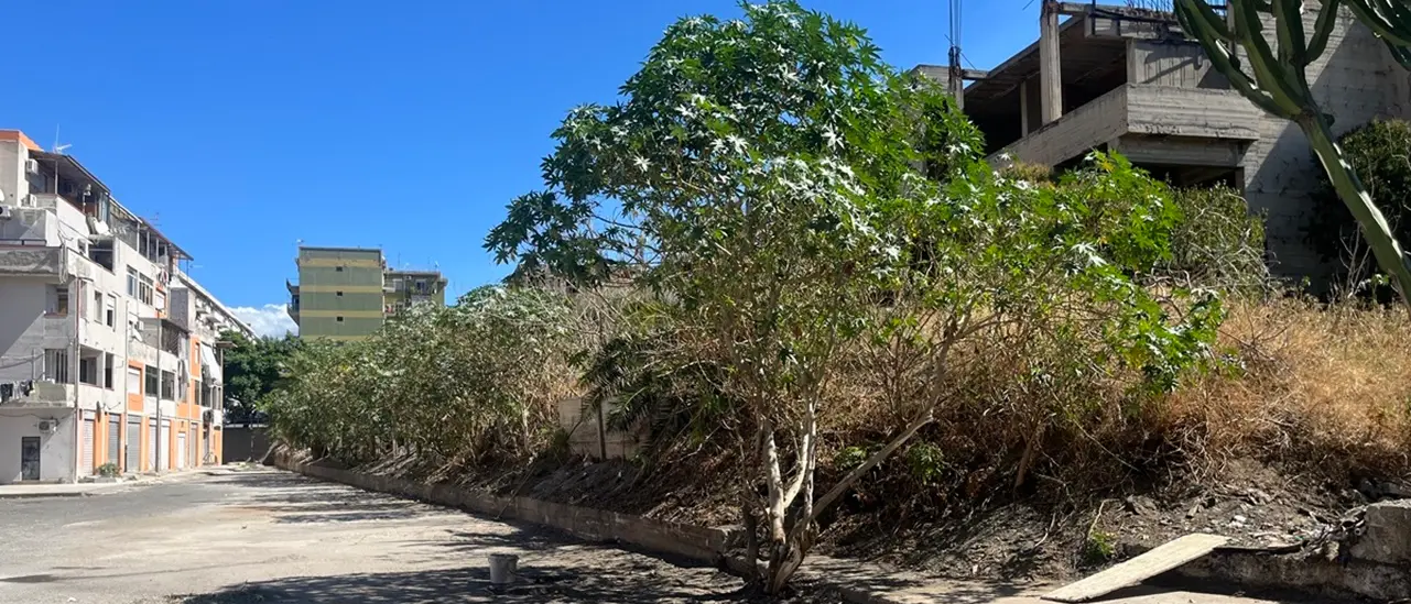 Ripulita la discarica a cielo aperto nel rione Marconi di Reggio, i cittadini: «Ora serve vigilare»\n