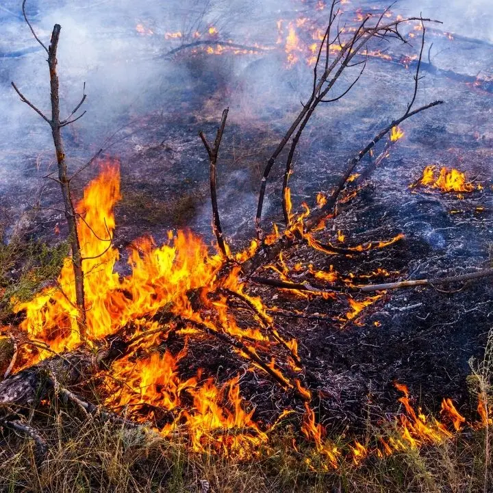 Appicca il fuoco e resta gravemente ustionato, arrestato 77enne nel Crotonese\n