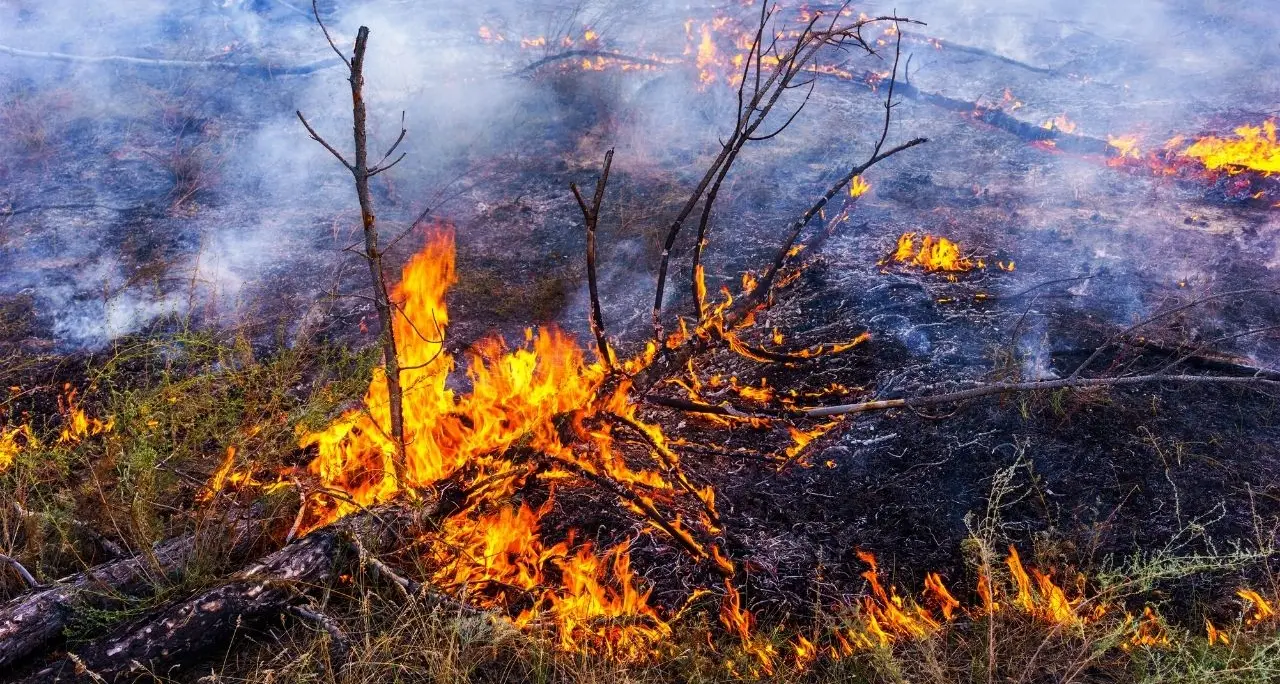 Appicca il fuoco e resta gravemente ustionato, arrestato 77enne nel Crotonese\n