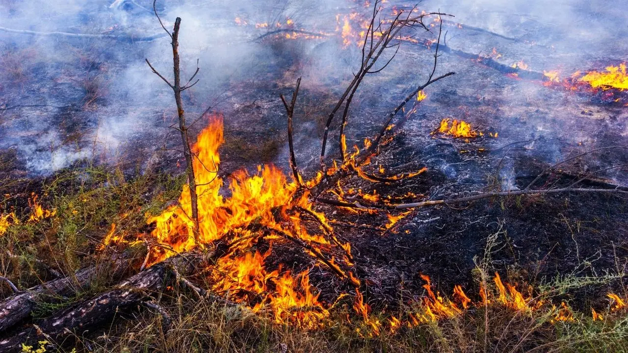 Appicca il fuoco e resta gravemente ustionato, arrestato 77enne nel Crotonese\n