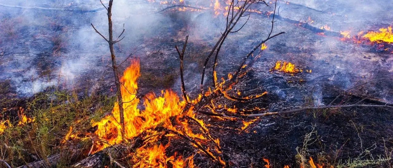Appicca il fuoco e resta gravemente ustionato, arrestato 77enne nel Crotonese\n