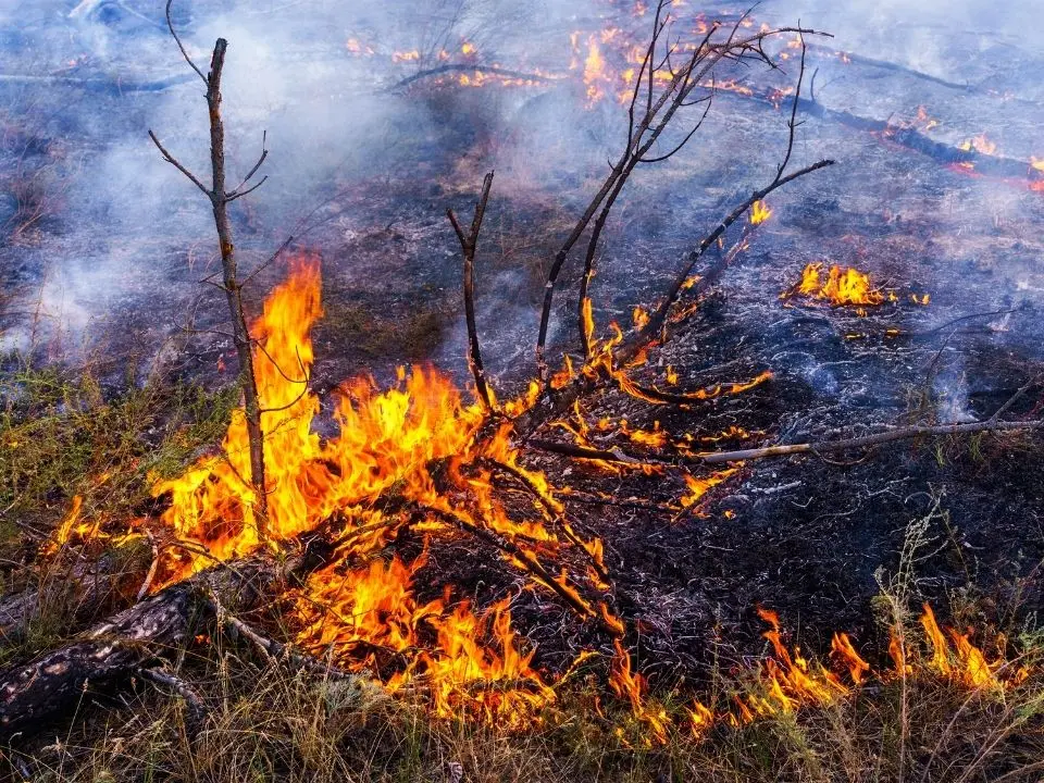 Appicca il fuoco e resta gravemente ustionato, arrestato 77enne nel Crotonese