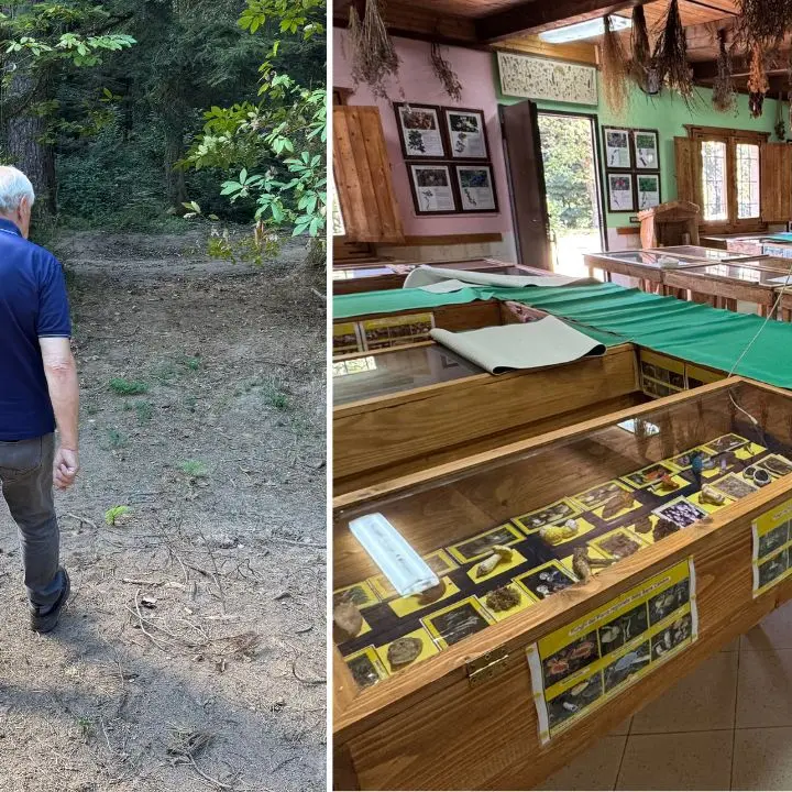 Funghi ma non solo, il prof di Serra San Bruno che giganteggia tra porcini ed erbe rare: Maurizio Siviglia docet\n\u00A0\u00A0\n