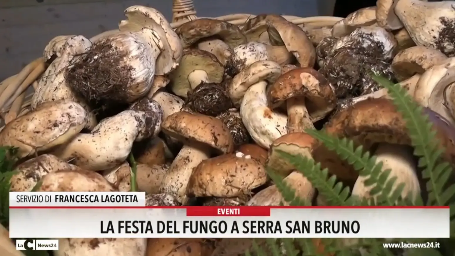 Al via a Serra San Bruno la festa del fungo