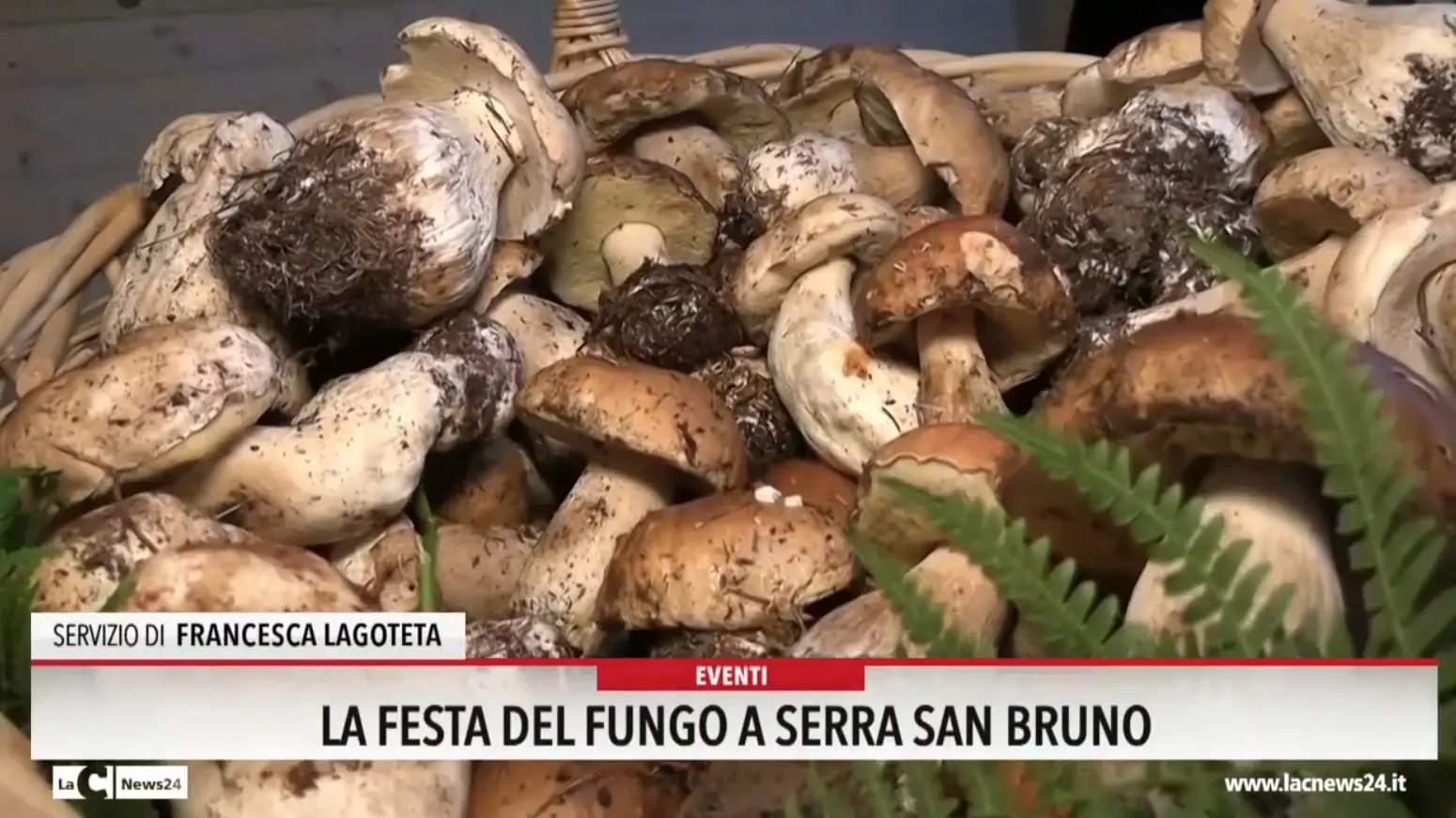 Al via a Serra San Bruno la festa del fungo
