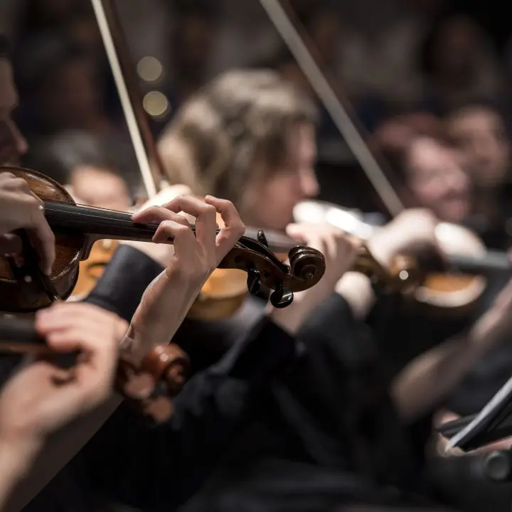 Dai workshop ai concerti, ricco calendario eventi per il Conservatorio “Stanislao Giacomantonio” di Cosenza\n