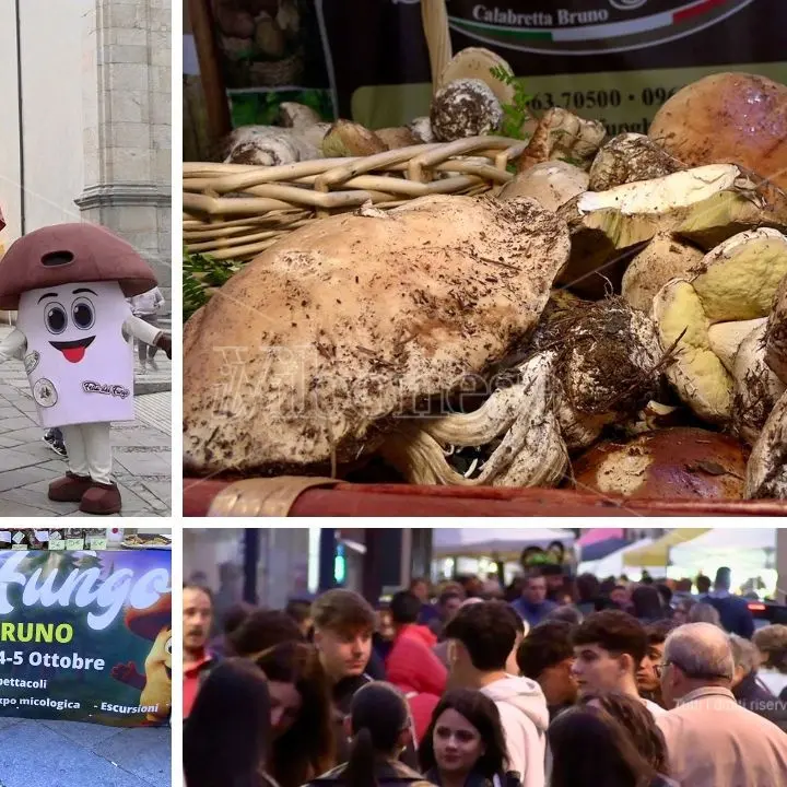 Serra San Bruno, stand e spettacoli animano la seconda giornata della Festa del fungo. Il sindaco Barillari: «Tutto pieno»\n