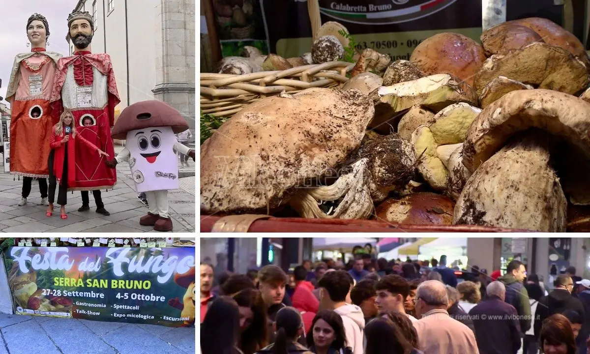Serra San Bruno, stand e spettacoli animano la seconda giornata della Festa del fungo. Il sindaco Barillari: «Tutto pieno»\n