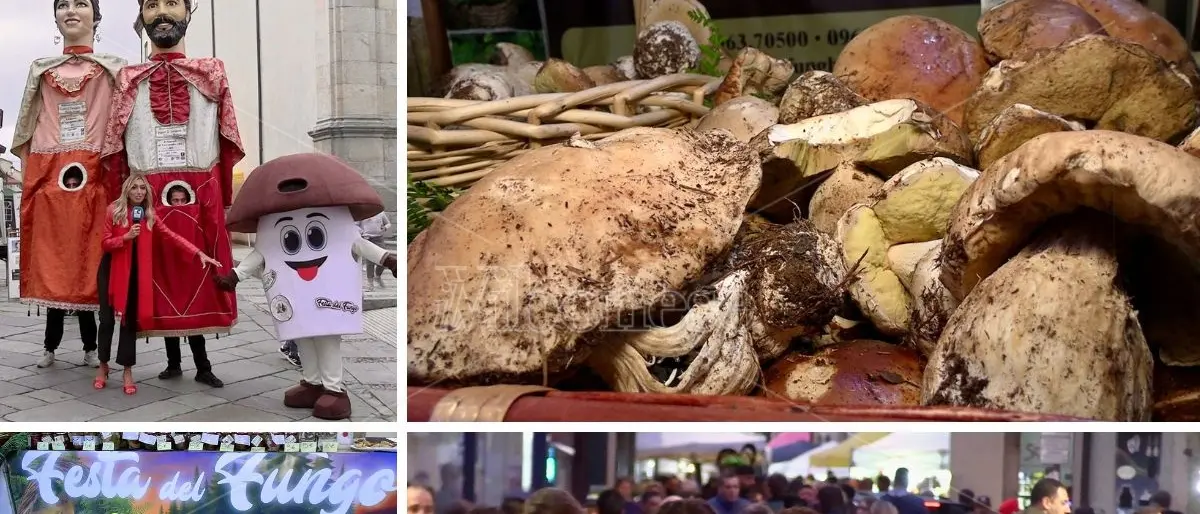 Serra San Bruno, stand e spettacoli animano la seconda giornata della Festa del fungo. Il sindaco Barillari: «Tutto pieno»\n