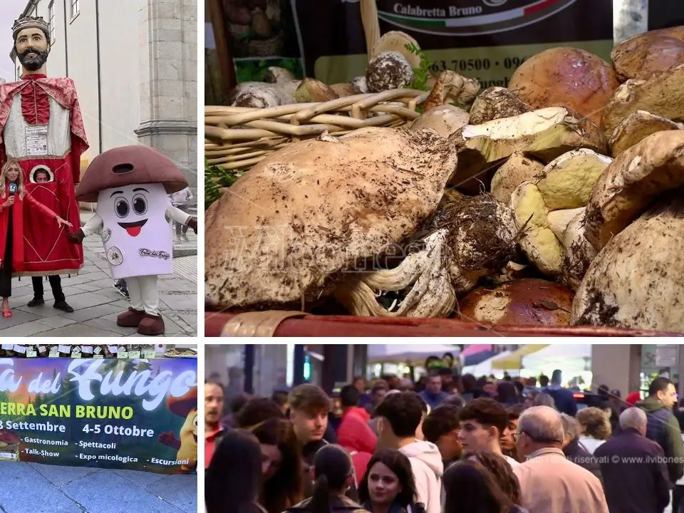 Serra San Bruno, stand e spettacoli animano la seconda giornata della Festa del fungo. Il sindaco Barillari: «Tutto pieno»