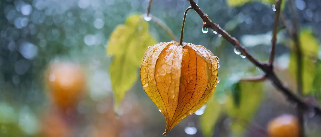 Meteo Vibonese, dopo la pioggia arriva anche il freddo: in settimana temperature sempre più giù\n