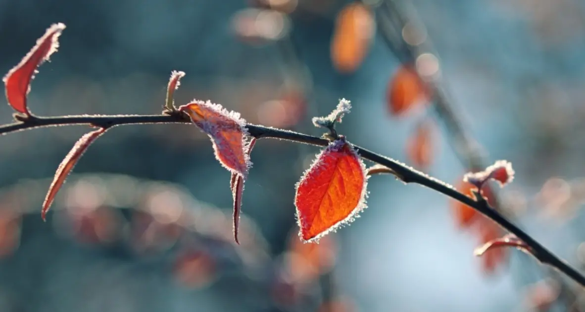 Freddo in arrivo in Calabria, temperature sotto lo zero di\u00A0notte in montagna e\u00A0primi fiocchi di neve in Sila (a ottobre)\n