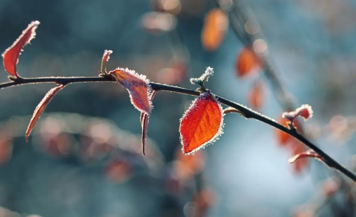 Freddo in arrivo in Calabria, temperature sotto lo zero di\u00A0notte in montagna e\u00A0primi fiocchi di neve in Sila (a ottobre)\n