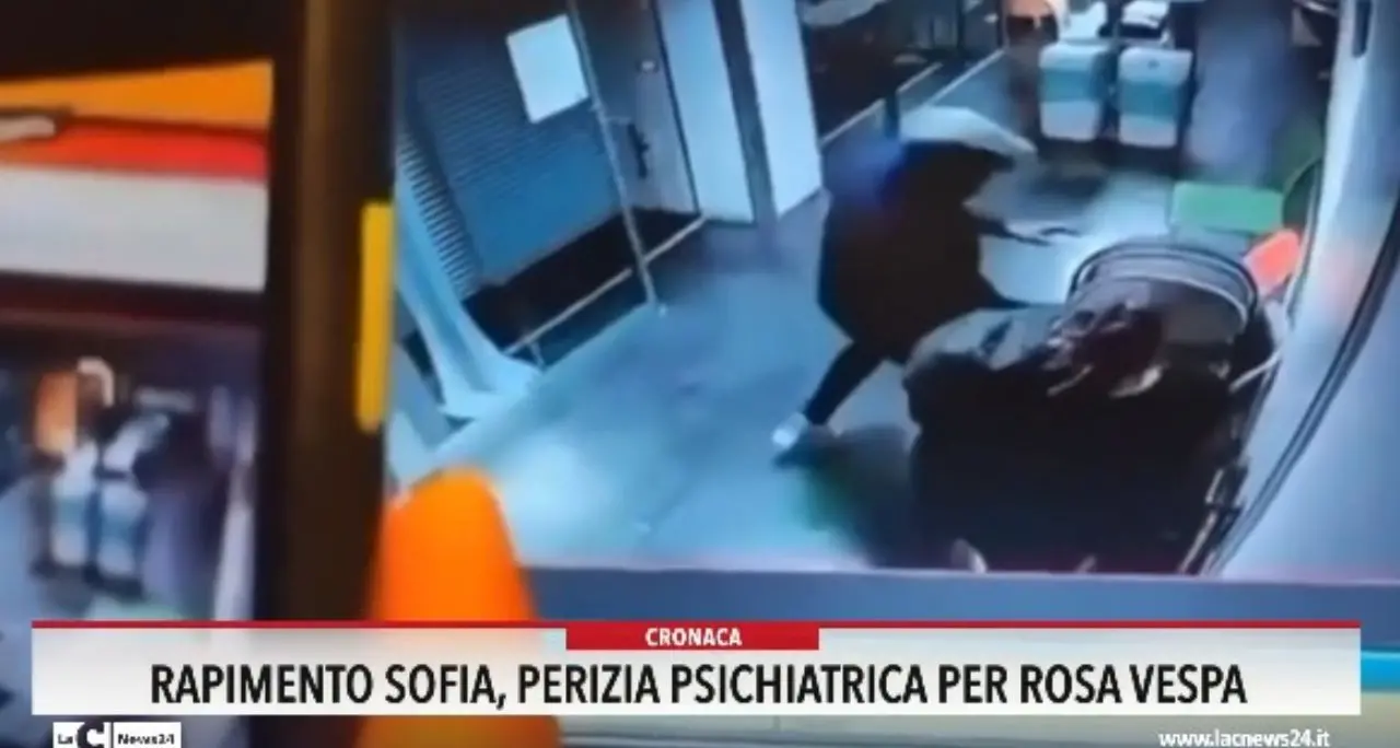 Rosa Vespa e la neonata rapita a Cosenza: per i periti era capace di intendere e di volere\n