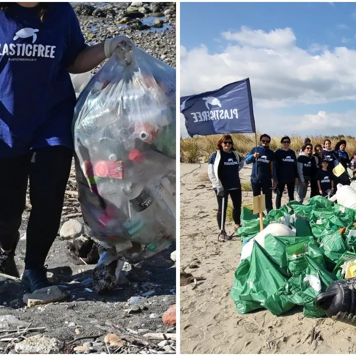 Calabria in azione per l’ambiente: i volontari di Plastic Free rimuovono 4 tonnellate di rifiuti tra spiagge e aree verdi\n