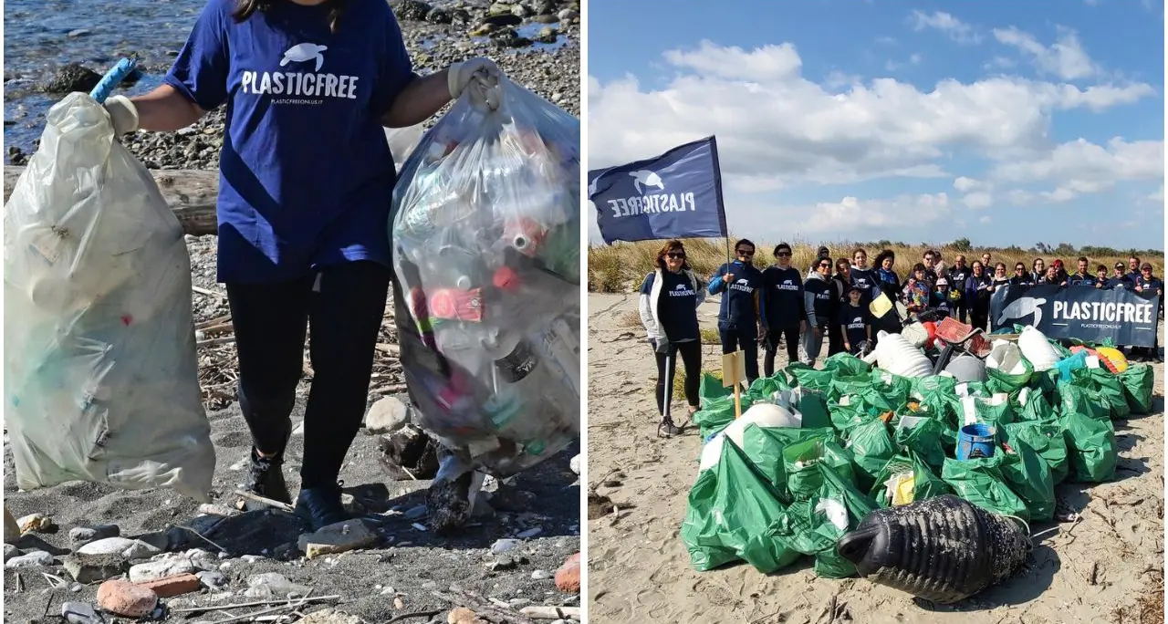 Calabria in azione per l’ambiente: i volontari di Plastic Free rimuovono 4 tonnellate di rifiuti tra spiagge e aree verdi\n