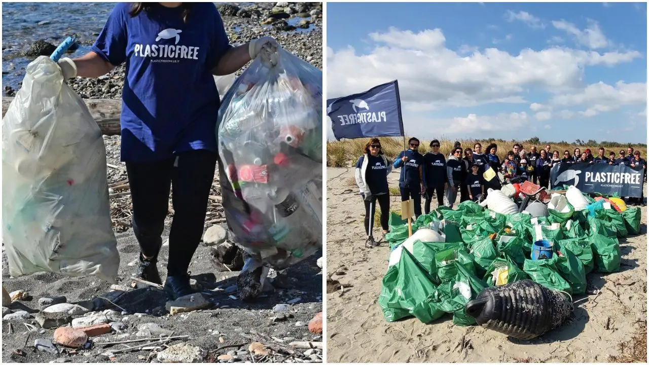 Calabria in azione per l’ambiente: i volontari di Plastic Free rimuovono 4 tonnellate di rifiuti tra spiagge e aree verdi\n