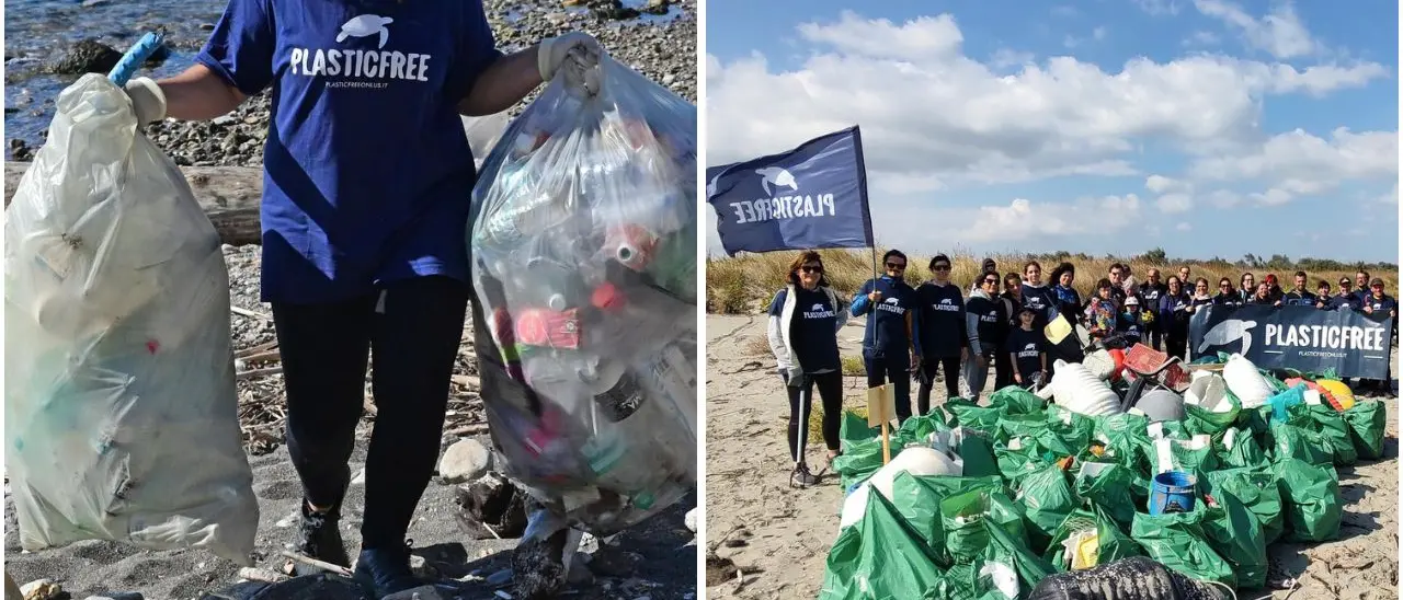 Calabria in azione per l’ambiente: i volontari di Plastic Free rimuovono 4 tonnellate di rifiuti tra spiagge e aree verdi\n