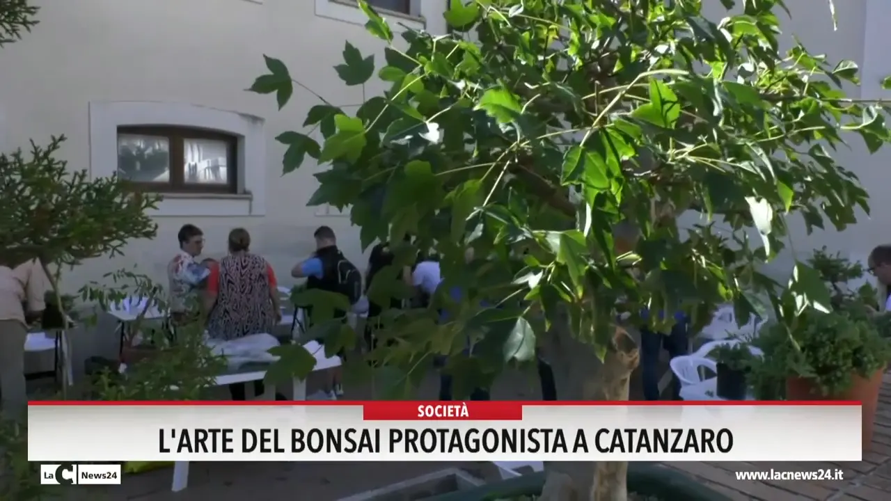 L'arte del bonsai protagonista a Catanzaro