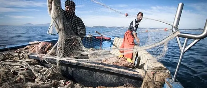 Scatta il fermo pesca nel Tirreno e nello Ionio, Coldiretti: «Il pesce italiano non mancherà, ecco come riconoscerlo»\n