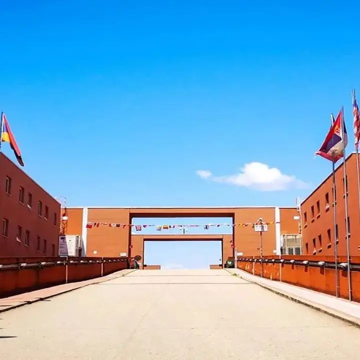 «L'eredità di Maurizio Grande e le eccellenze Unical non siano sprecate»: cosa chiedo al futuro presidente\n