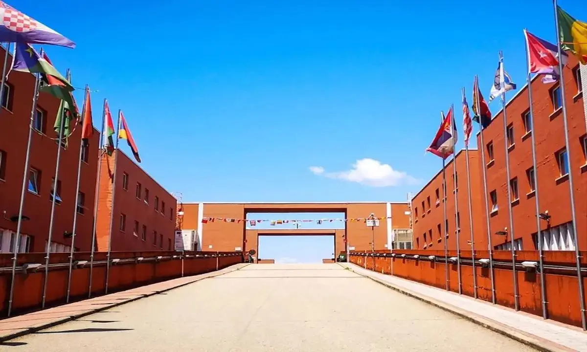 Unical, ultima chiamata per le iscrizioni ai corsi di laurea: oltre 1.600 i posti ancora disponibili\n