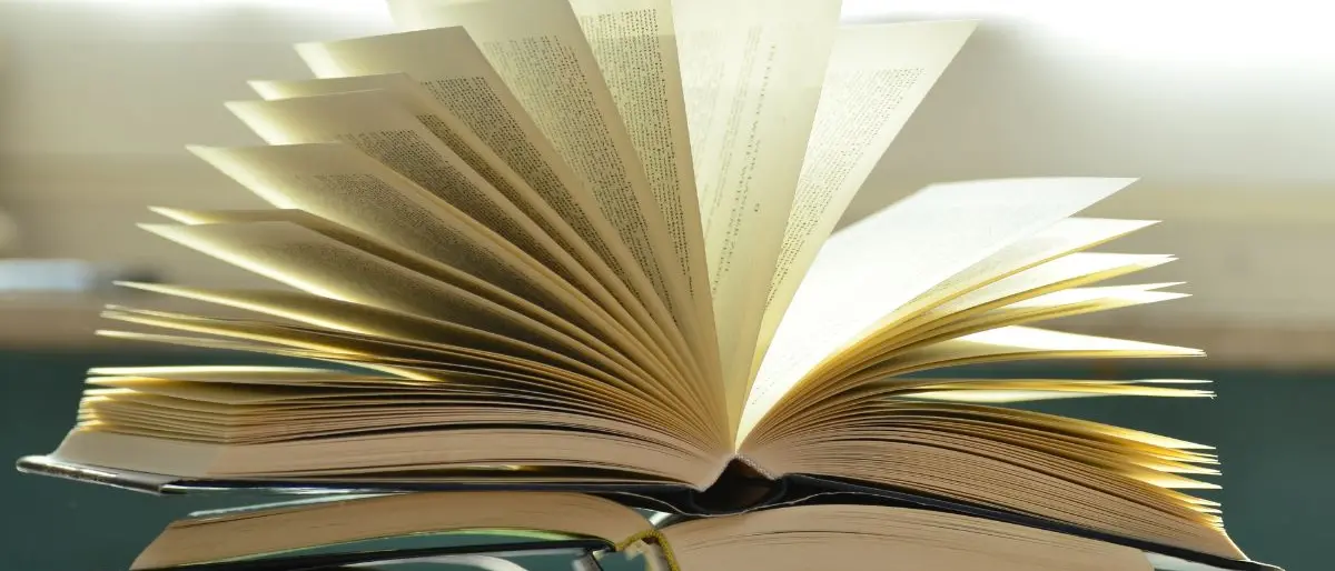 Capitale italiana della Cultura 2028: tra le 23 candidate anche Gioia Tauro\n